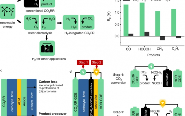 武汉大学Nature Commun：氢氧化和CO2电解结合能够降低能量消耗