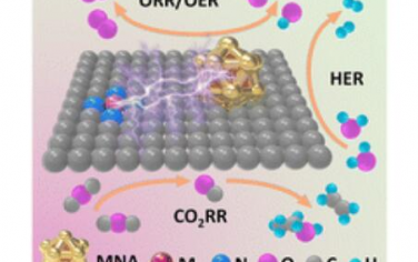 EES：单原子位点与金属纳米聚集体相结合实现高效电催化