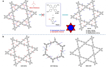 Nat. Commun.：通过空间位阻介导的精确亲水-疏水微相分离在二维共价有机框架中产生两亲多孔性