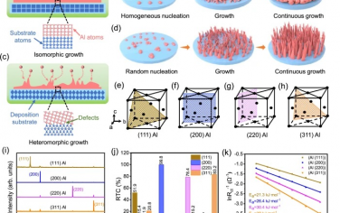 西安交大Nature Commun：通过晶相匹配取向生长构筑铝金属电池