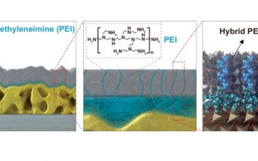 Nature Commun：聚乙烯亚胺-TiO2复合材料改善光阳极水氧化稳定性