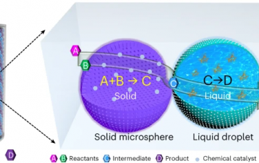 山西大学Nature Catalysis：Pickering液滴和固体微球连续相串联催化