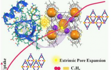 南开大学Angew：生物灵感设计柔性多孔有机笼识别乙烷客体分子