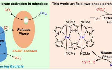 清华大学Angew：双核Fe-NHC分子两步活化高氯酸根