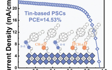 AEM：构建高性能锡钙钛矿光伏的电荷桥路径