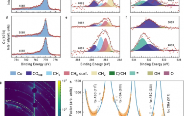 斯德哥尔摩大学Nature Commun：Co催化剂费托合成原位结构表征