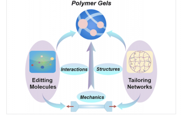 Chem. Rev.：聚合物凝胶的机械调节