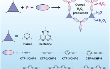 AEM：磷-炔基功能化共价三嗪/肼基框架用于高性能光催化过氧化氢生产