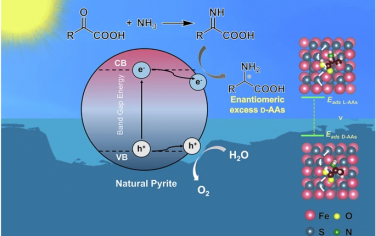 Nature Communications：天然黄铁矿上对映过量D-氨基酸的成因