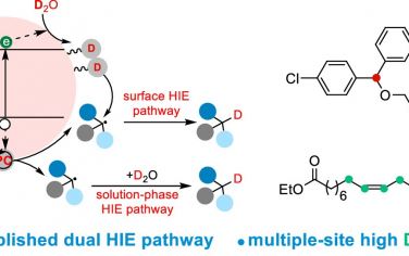 JACS：CdS光催化剂实现双重氢同位素标记