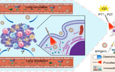 Nano Lett：负载黑磷量子点的仿生纳米平台可协同aPD-L1实现多模态癌症免疫治疗