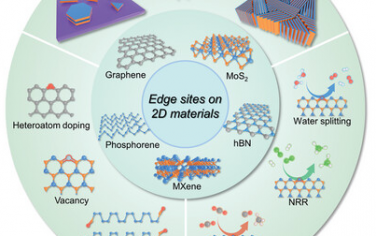 香港理工&安徽大学&西北工业大学Adv Mater综述：2D材料的边缘位点设计用于电催化和光催化