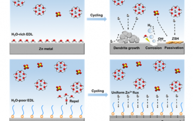 AM：聚合物分子吸附诱导的亲锌-疏水保护层实现高度稳定的锌金属负极