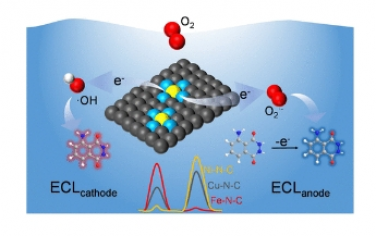 JACS：调节 M−N−C 单原子催化剂上的活性氧以实现电位分辨电化学发光