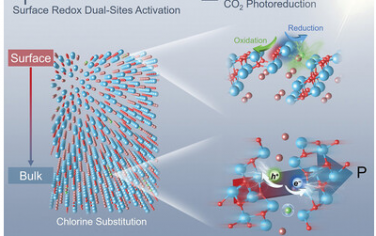 Adv Mater：体相-表面不同的阴离子取代产生极化和氧化还原双位点增强光催化