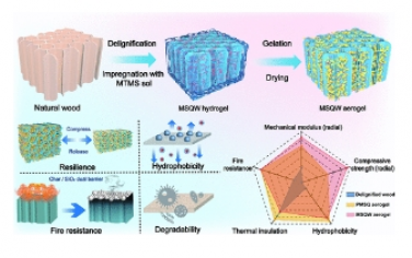 ACS Nano：硅藻启发的纳米级异质组装策略，用于构建具有特殊强度，弹性，降解性和阻燃性的木材基隔离气凝胶