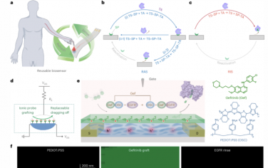 Nature Materials：一种用于生物传感器的药物介导有机电化学晶体管