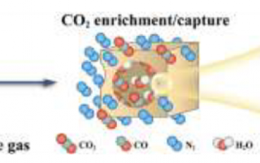 Angew：金属-有机骨架微孔中同时捕获CO2促进其电还原