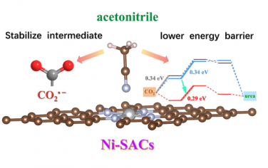 ACS Catal：乙腈改善Ni单原子电催化CO2合成尿素