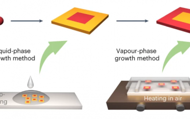 苏州大学Nature Chem：液相-气相结合生长二维侧向有机异质结