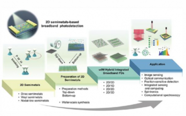 AM：二维半金属的范德瓦尔斯混合集成用于宽带光探测器