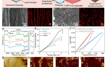 Nat Commun：具有高模量和大离子电导率的仿生和可生物降解隔膜可实现无枝晶锌离子电池