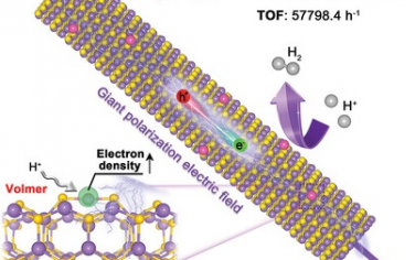中国地质大学Adv Mater：CdS极化增强体相电荷分离实现优异光催化制氢