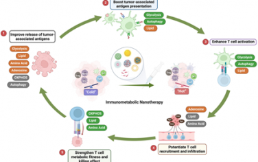 Chem. Soc. Rev：基于纳米材料的代谢重编程策略用于增强抗肿瘤免疫