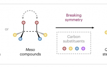 Nature Synthesis：催化不对称反应合成全碳季立体中心