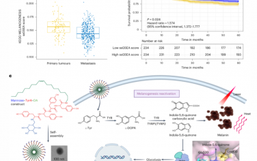 Nature Nanotechnology：黑色素瘤的营养输送和代谢再激活治疗