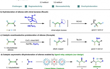 Nature Communications：不对称双氢硼化烯炔的配体接力催化作用