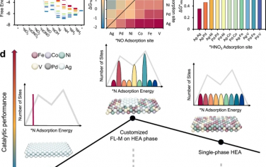 Nature Commun：高熵合金表面形成少原子层金属催化硝酸盐还原