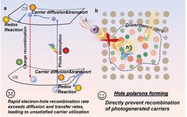 谢毅院士团队Adv Mater：空穴极化阻碍电子-空穴复合促进光催化固氮