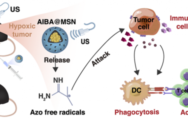 ACS Nano：超声触发的偶氮自由基用于宫颈癌免疫治疗