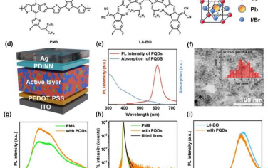 EES：CsPbI2Br量子点集成用于高性能有机光伏和光电探测器