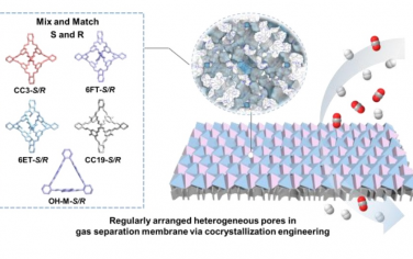浙江大学Angew：共晶合成多孔有机笼构筑规则的异质孔促进气体分离