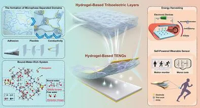 AFM：利用具有微相分离结构域的结合富水两性离子水凝胶的耐湿可穿戴摩擦电纳米发电机