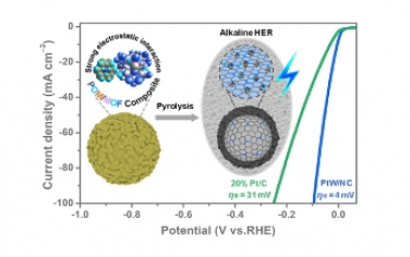 ACS Nano：亚纳米 Pt-W 双金属簇用于高效碱性电催化HER