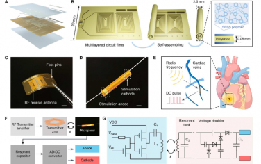 Science Advances：用于无线心脏电疗的自组装植入式微管起搏器