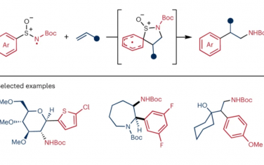 Nature Chemistry：由亚磺酰胺的N-中心自由基反应性实现的一般烯烃氨基芳基化