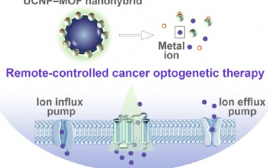 JACS：上转换纳米粒子锚定的金属-有机框架纳米结构用于实现远程控制的癌症光遗传治疗