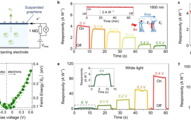 Nature Communications：光驱动质子通过石墨烯电极传输的门控抑制