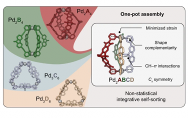 Nature Chemistry：多组分[Pd2ABCD]笼的非统计组装