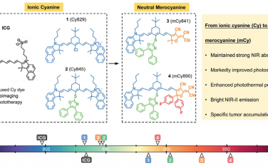 Adv. Mater：中性花青：超稳定的NIR-II部花青用于实现高效的生物成像和肿瘤靶向光学诊疗
