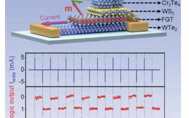 AM：具有无场切换和低功耗的二维Cr3Te4/WS2/Fe3GeTe2/WTe2磁存储器