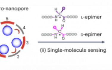 Nature Nanotechnology：立体和区域定义异质纳米孔内的单分子传感