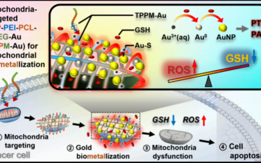ACS Nano：靶向线粒体的金生物金属化用于实现光声可视化光热癌症治疗
