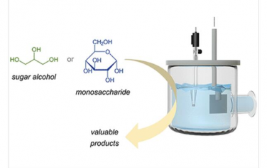 Chem. Rev.：单糖和相关糖醇电催化氧化成有价值产品的电化学和非电化学途径