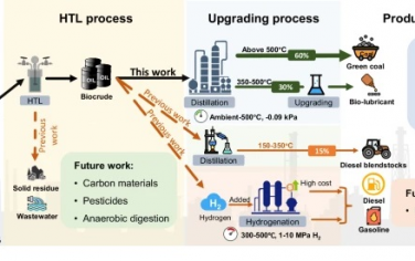 中国农大Nature Commun：生物质水热液化合成绿色煤炭和润滑剂