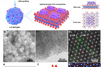 Nat Commun：用于高性能Li||O2电池的Ru晶格接枝的P区元素调制的1T相MoS2